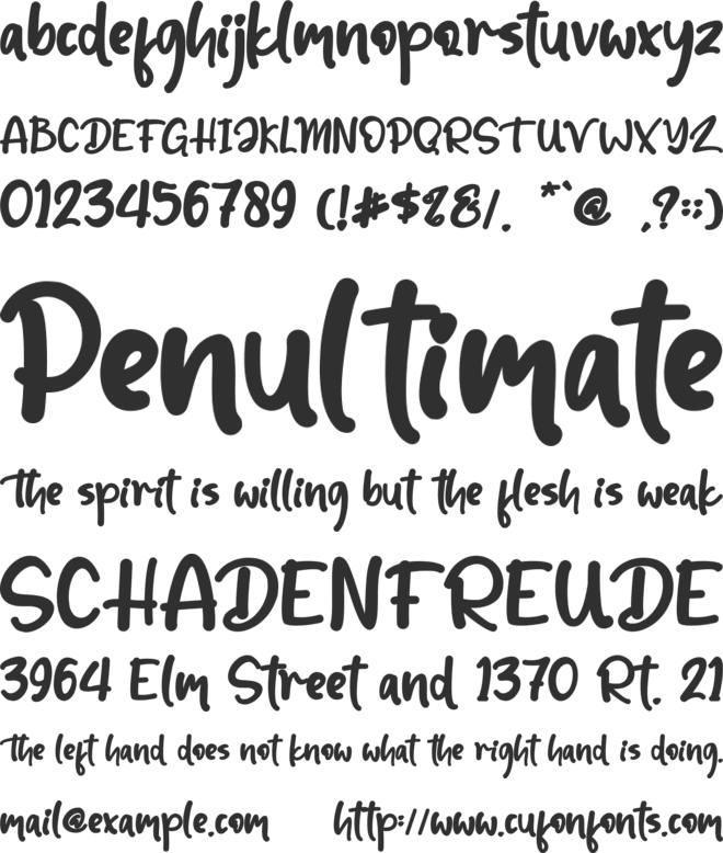Christmas Holiday font preview