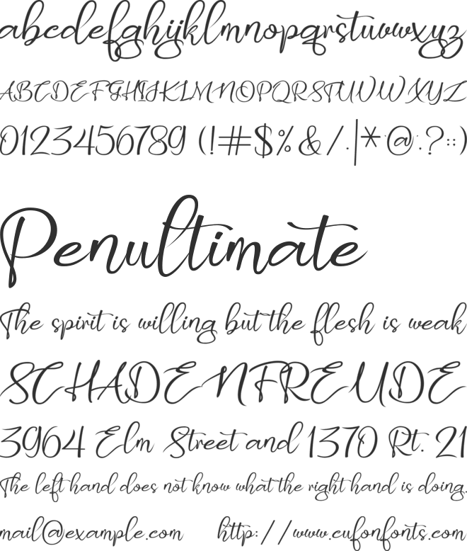Butterly script font preview