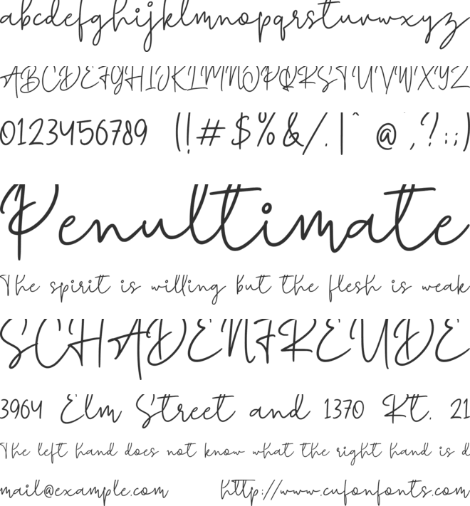 Road font preview