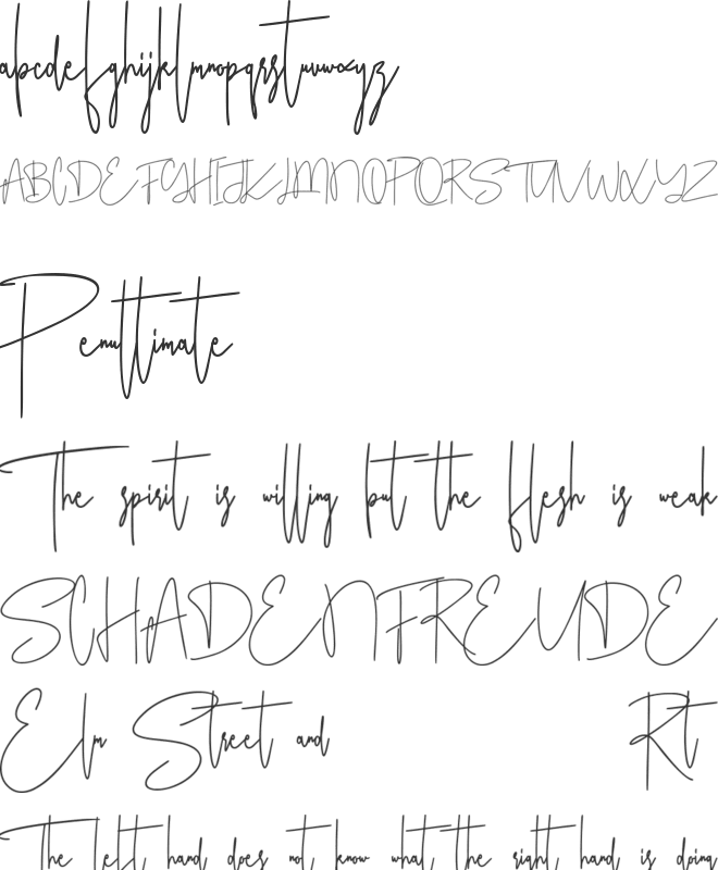 Ameriondela Free font preview