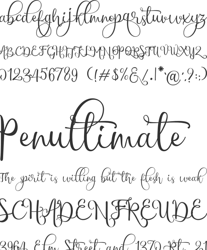 chinthia white font preview