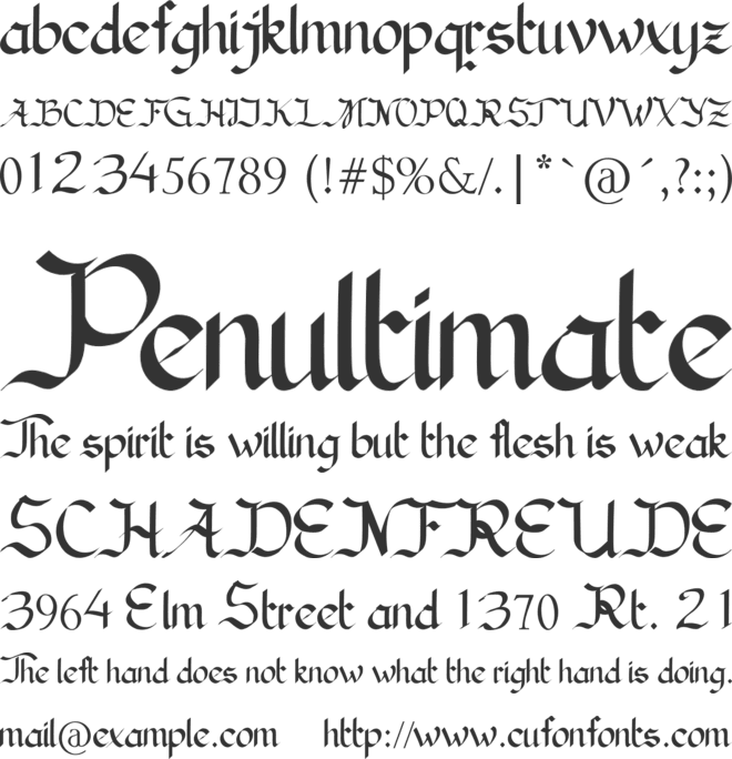 Nieuwegein font preview