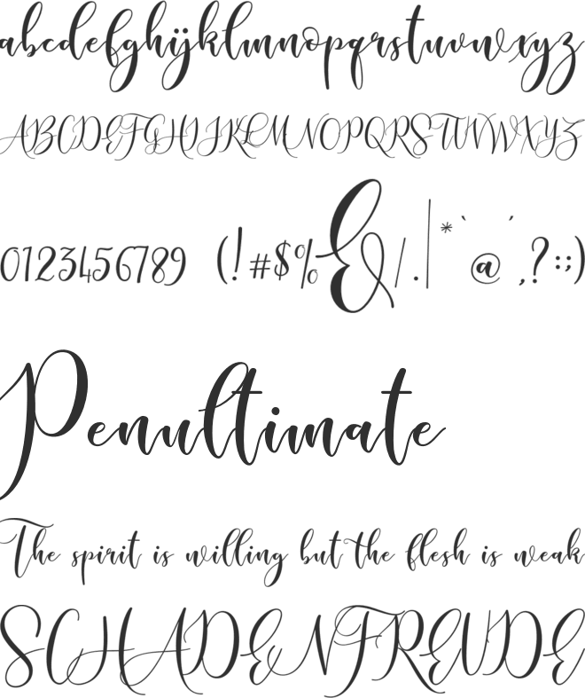 Sleeplesson font preview
