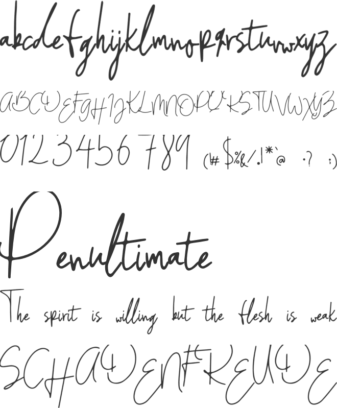 Erangel Field font preview