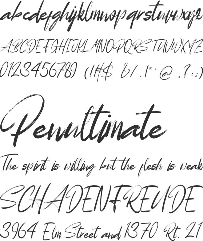 Bewise font preview
