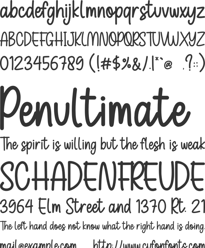 Holiday Family font preview