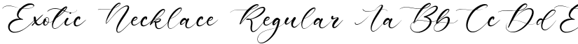 Exotic Necklace Regular font