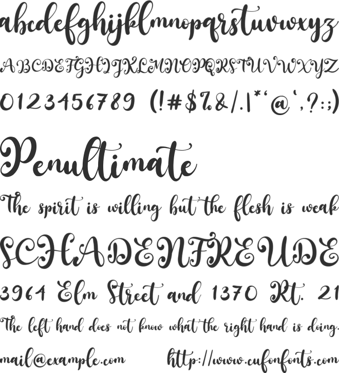 South Forest font preview