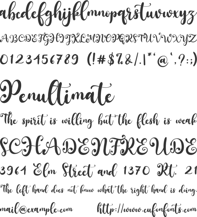 South Forest font preview
