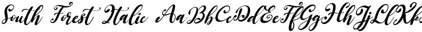 South Forest Italic font