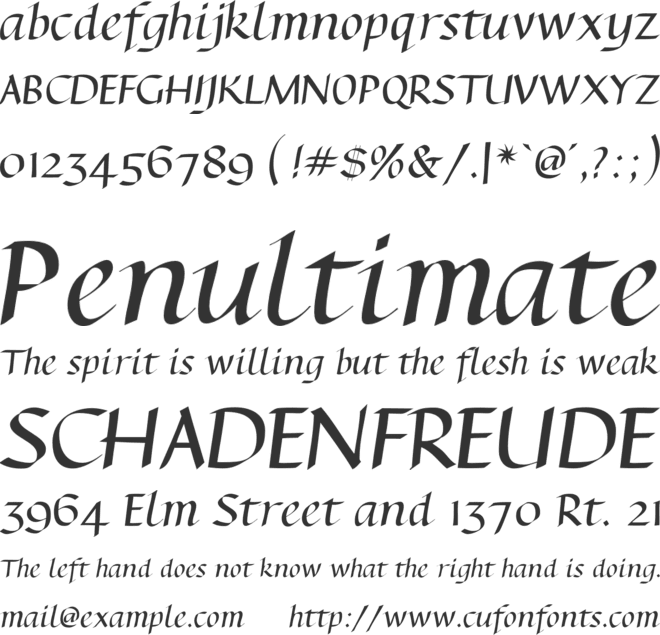 SanSalvi font preview