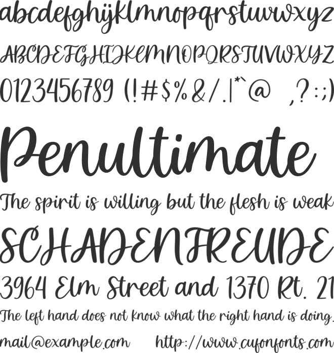 Holiday Wishes font preview