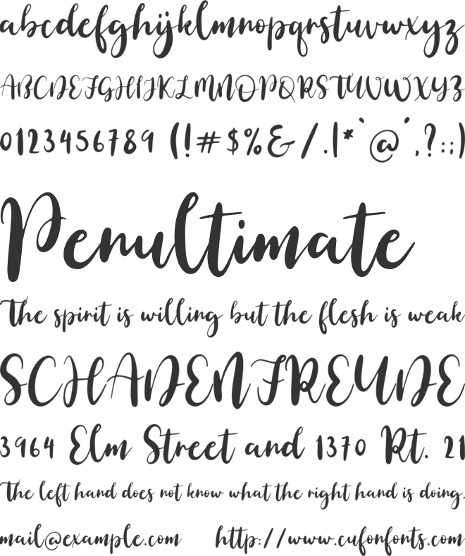 Simple Brush font preview