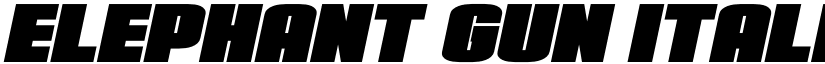 Elephant Gun Italic Regular font