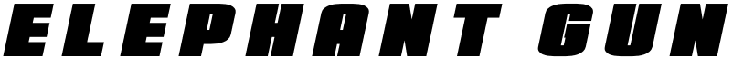 Elephant Gun Title Italic Regular font