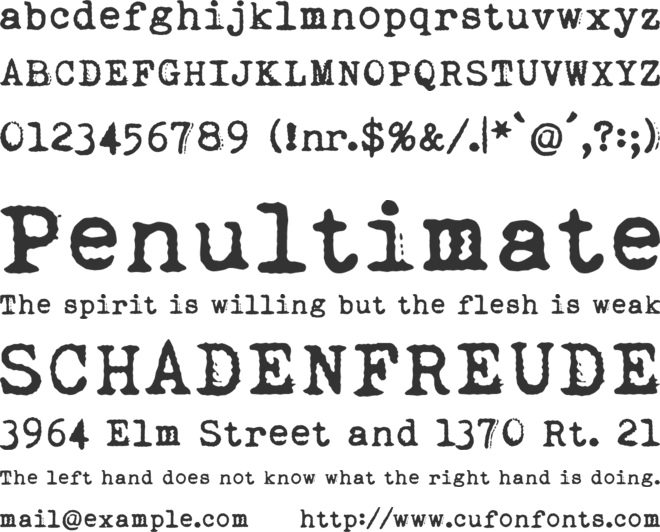 Dogtown Typewriter font preview