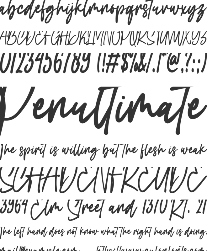 Carolina Signature font preview
