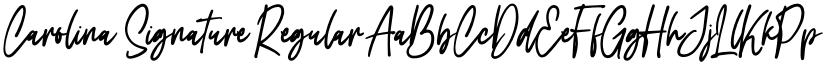 Carolina Signature Regular font