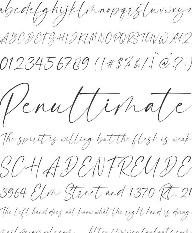 Baremila font preview