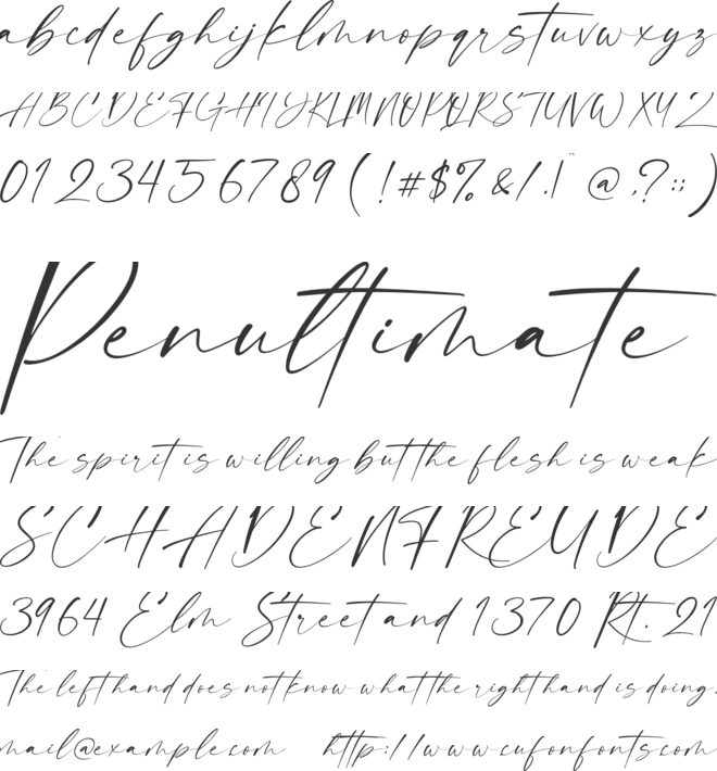 Dalmantian font preview