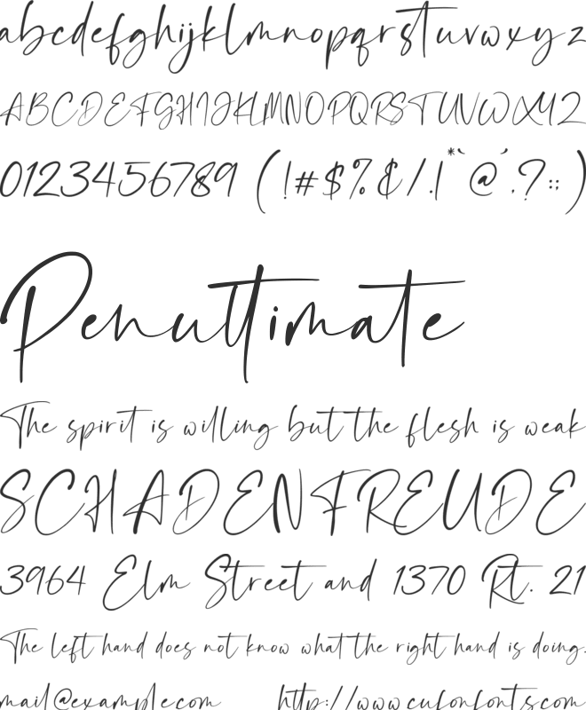The Rickon font preview
