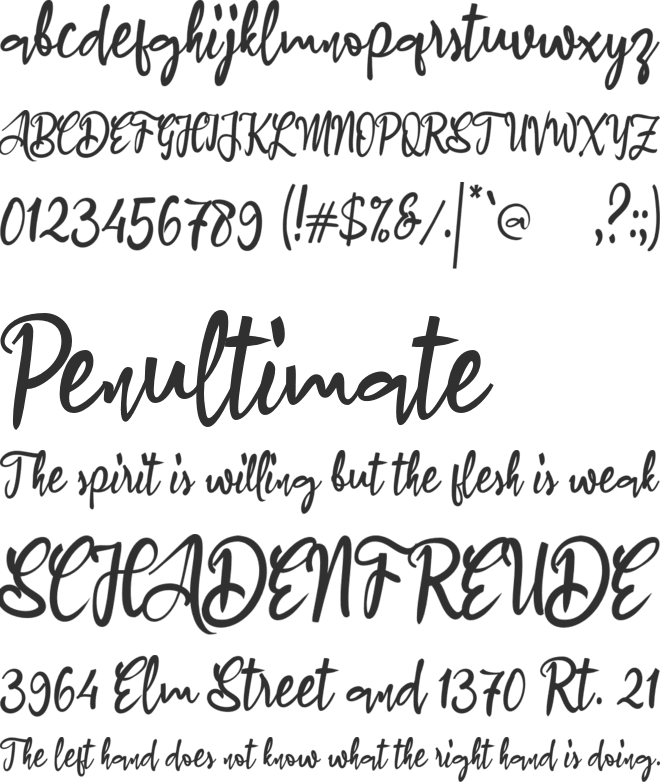 a Amaryllis Flower font preview