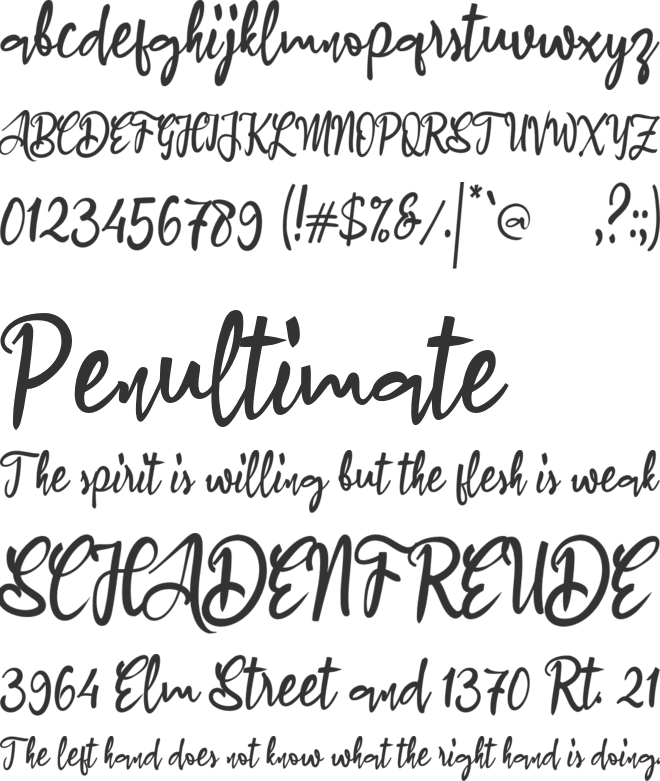 a Amaryllis Flower font preview