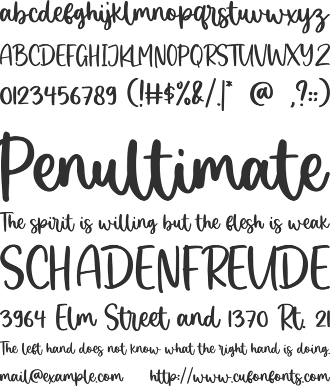 Wintersing font preview