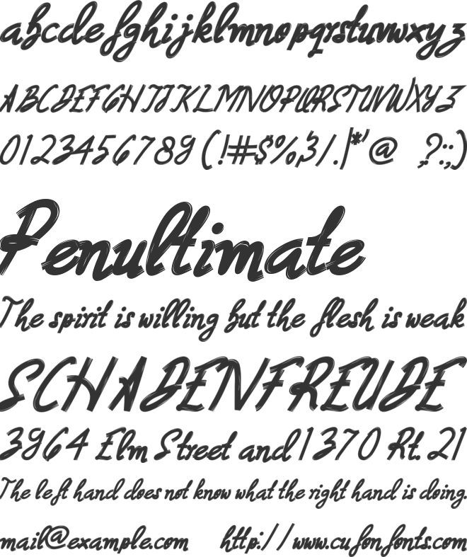 Dashtin Brush font preview
