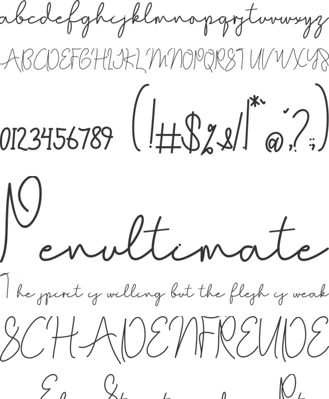 Shamilove font preview