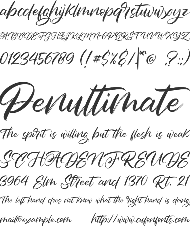 Silver Flower font preview