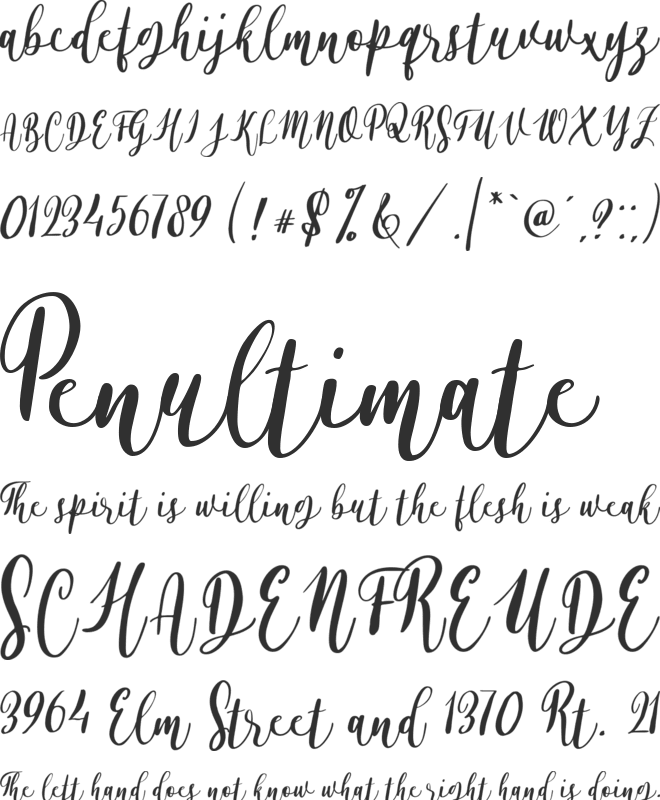 Alyssa Calligraphy font preview