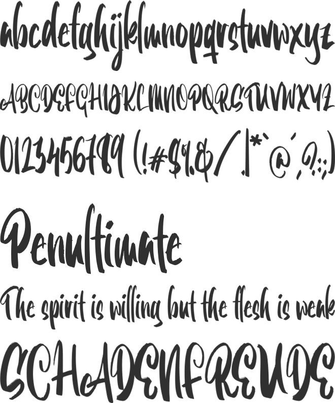 Boogie Shaggy font preview