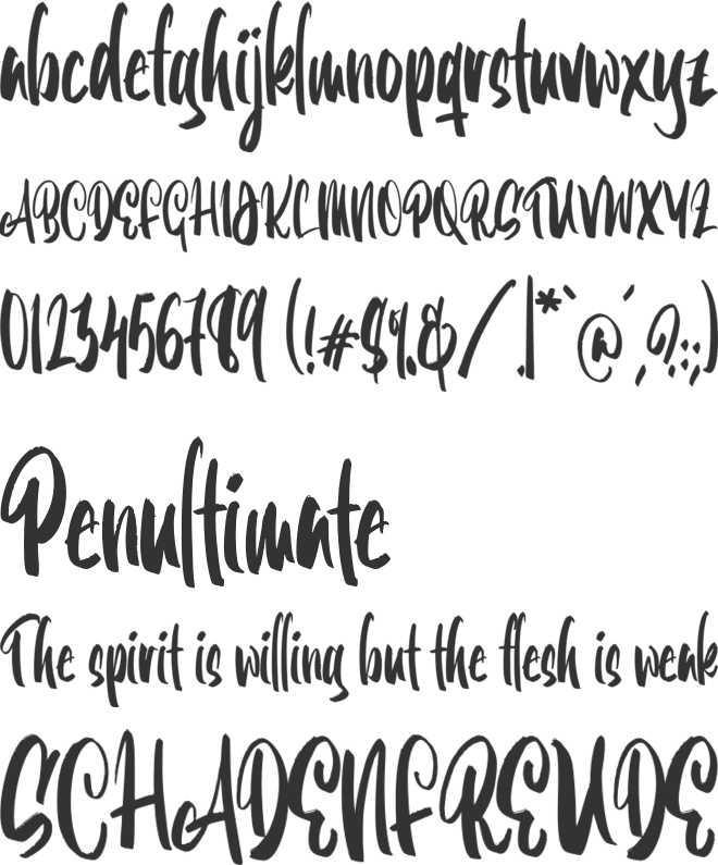 Boogie Shaggy font preview