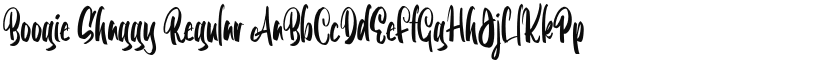 Boogie Shaggy font download