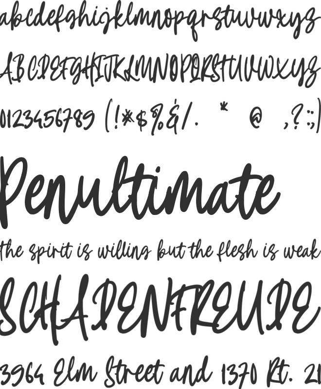 Summer Stylish font preview