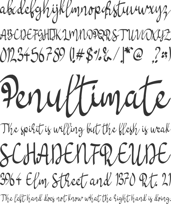 Socialita font preview