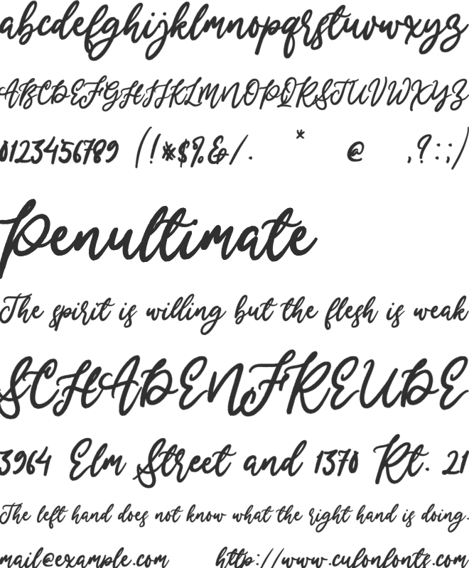 Merry Holly font preview