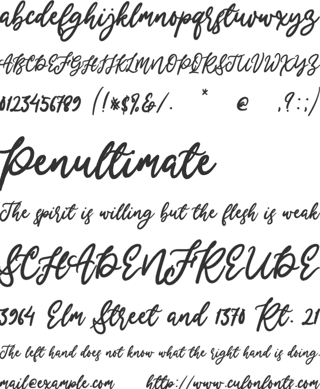 Merry Holly font preview