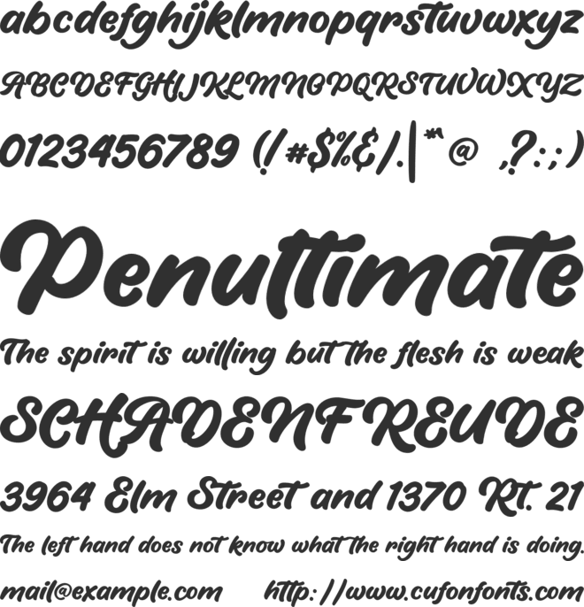HiRolley Script font preview