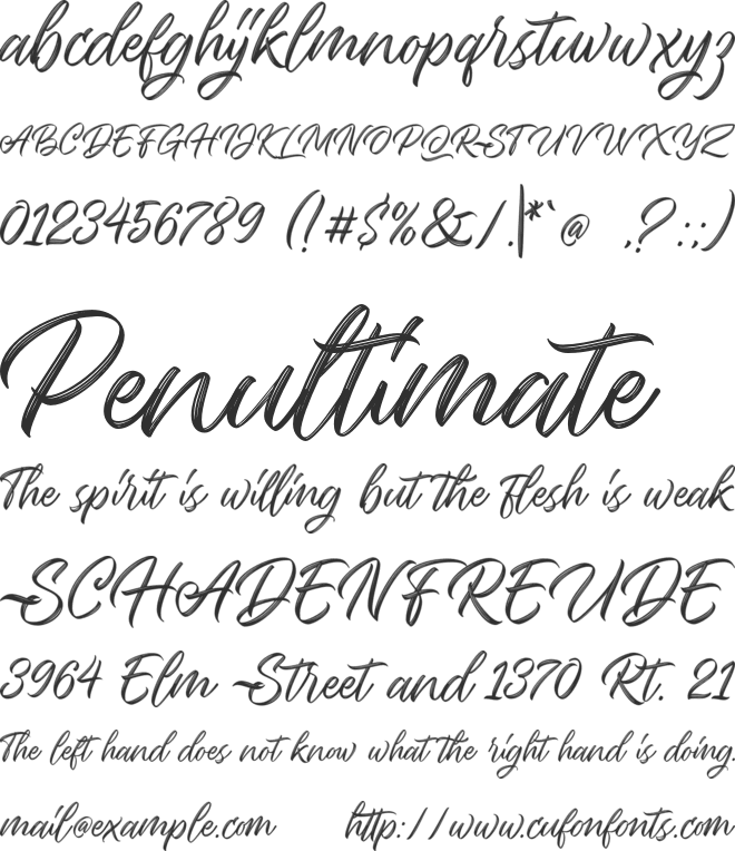 Seymore Script font preview