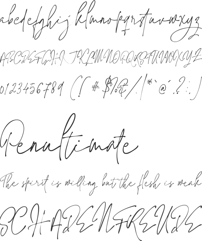 Jaccuzy Signature font preview