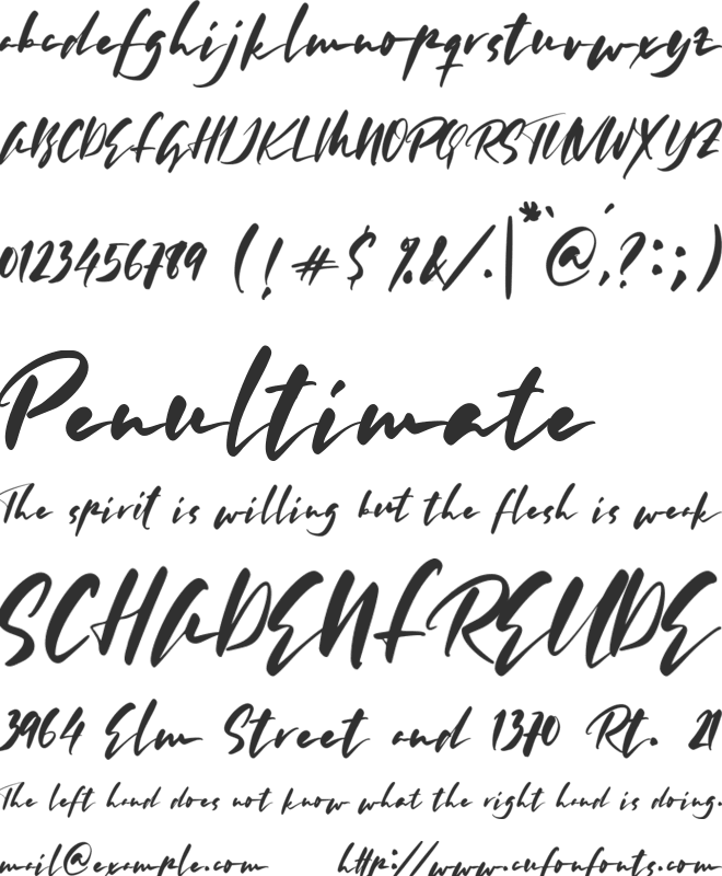 Morning Silhouette font preview