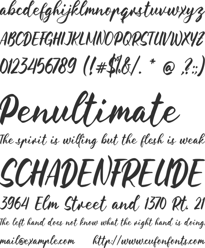 The Florist Handwriting font preview