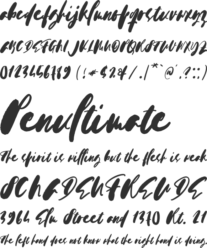 Moderna Script font preview