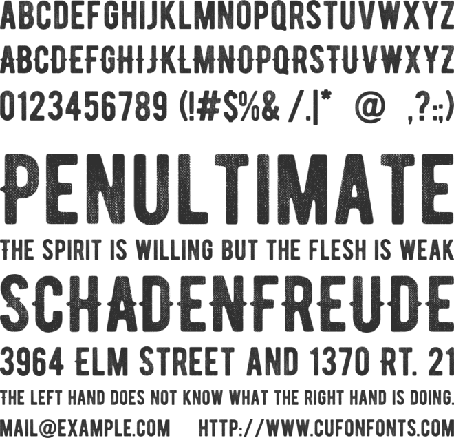 BERNIER Distressed font preview