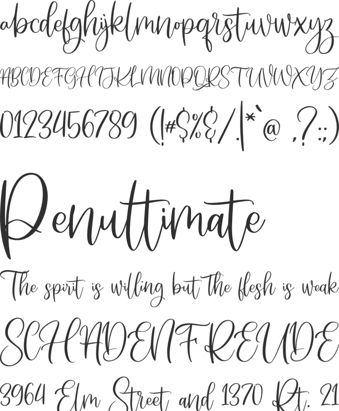Someday Script font preview