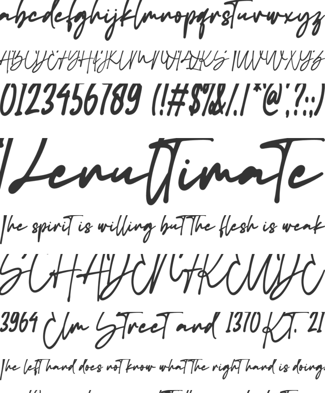 Maradona Signature font preview