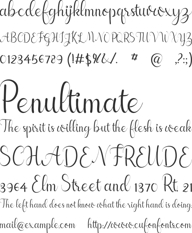 cayla font preview