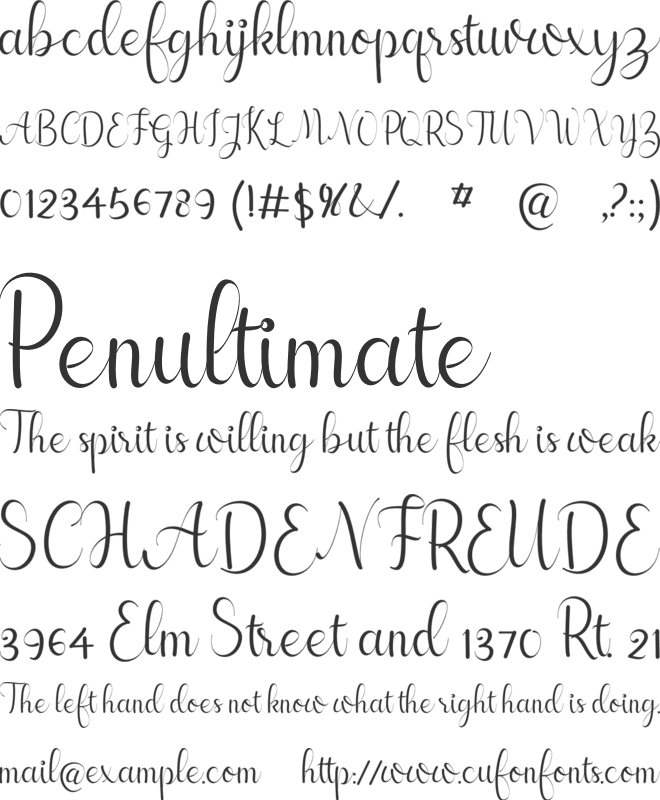 cayla font preview